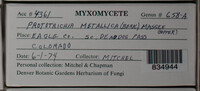Image Associated With the Occurence